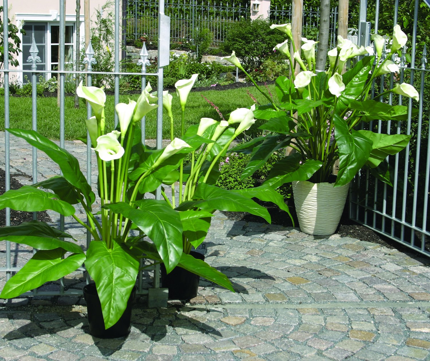 Artificial calla lilies bush, potted, 130 cm, green