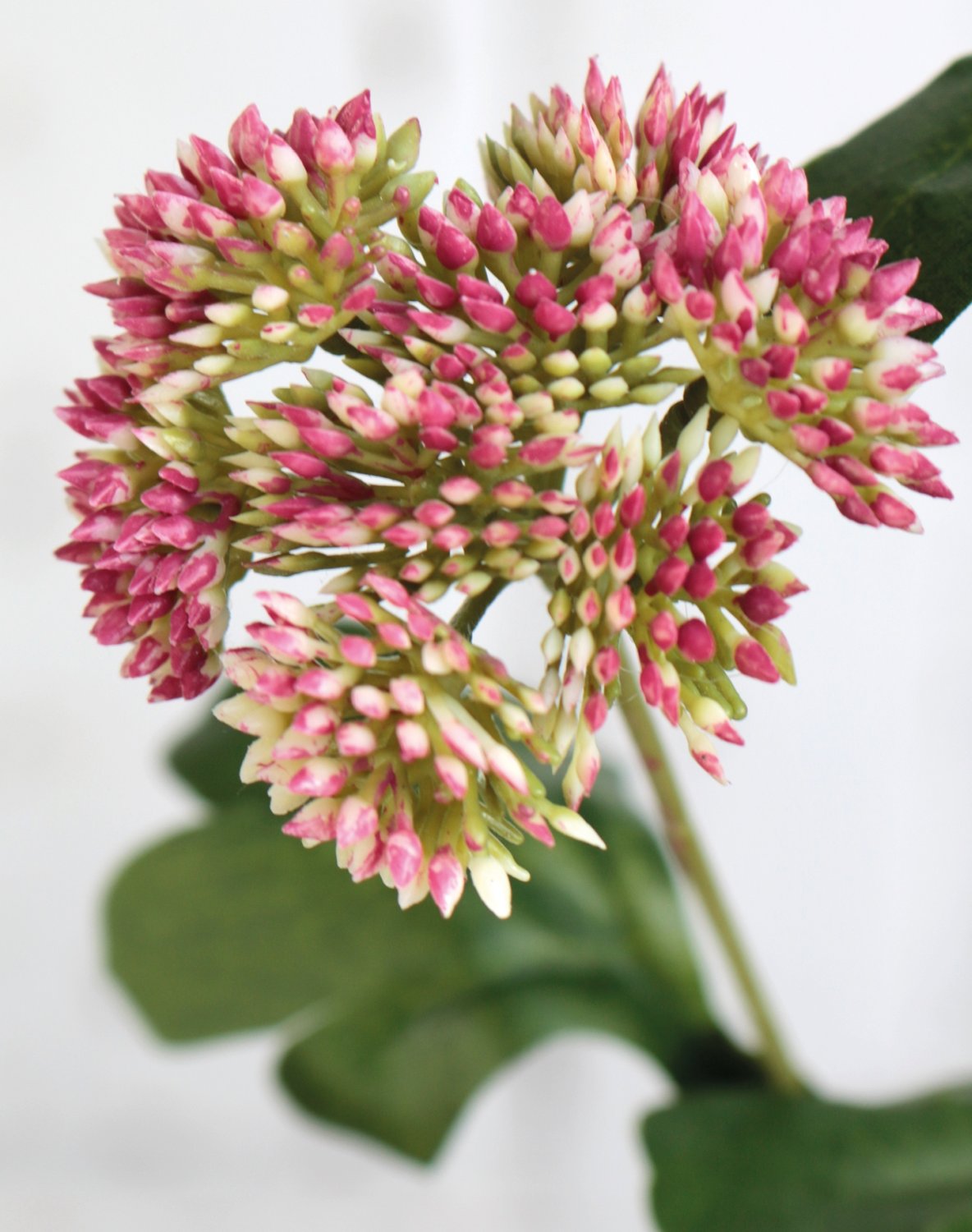 Fake Viburnum stem, 65 cm, green-pink