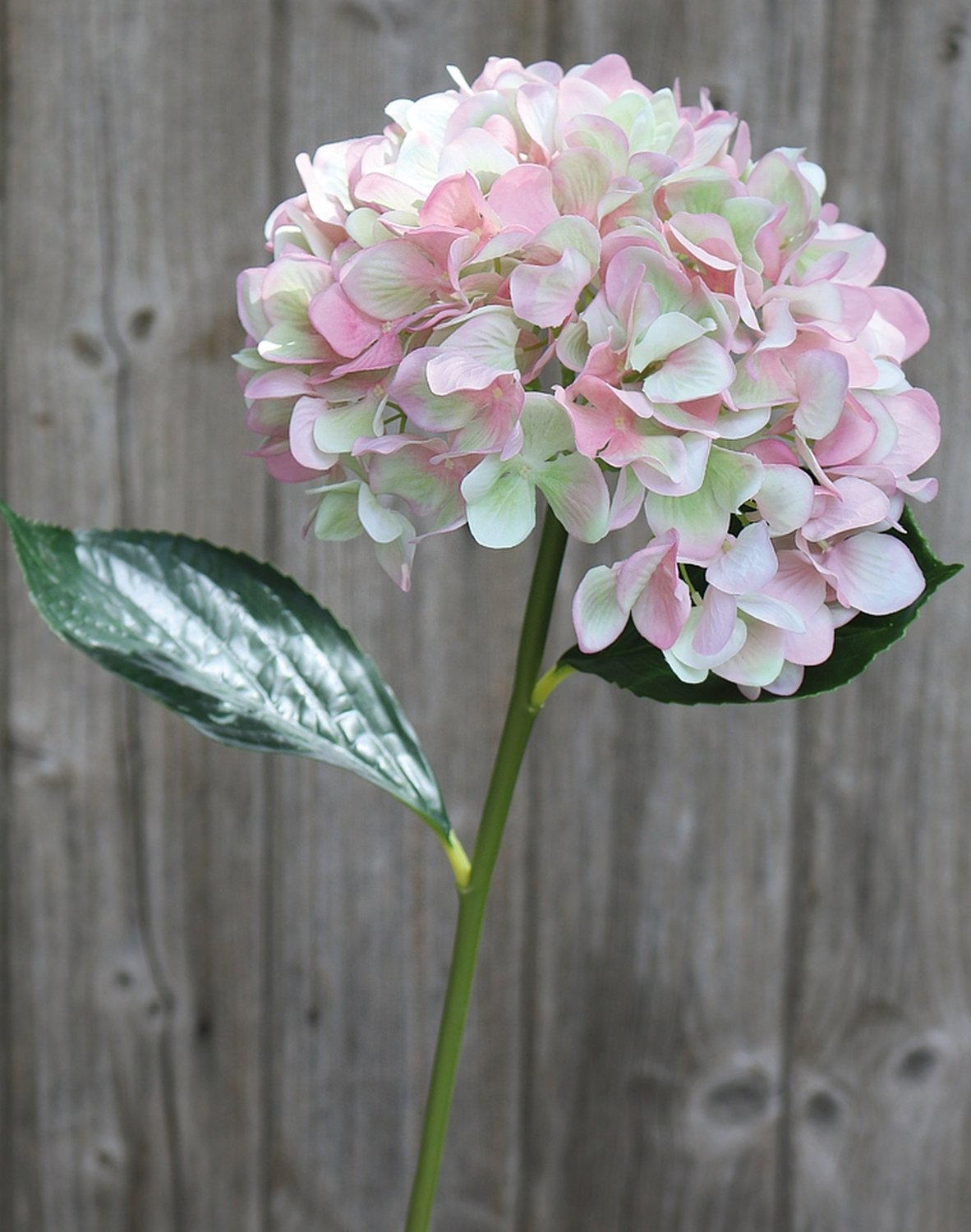 Künstliche Hortensie, 60 cm, rosa-grün