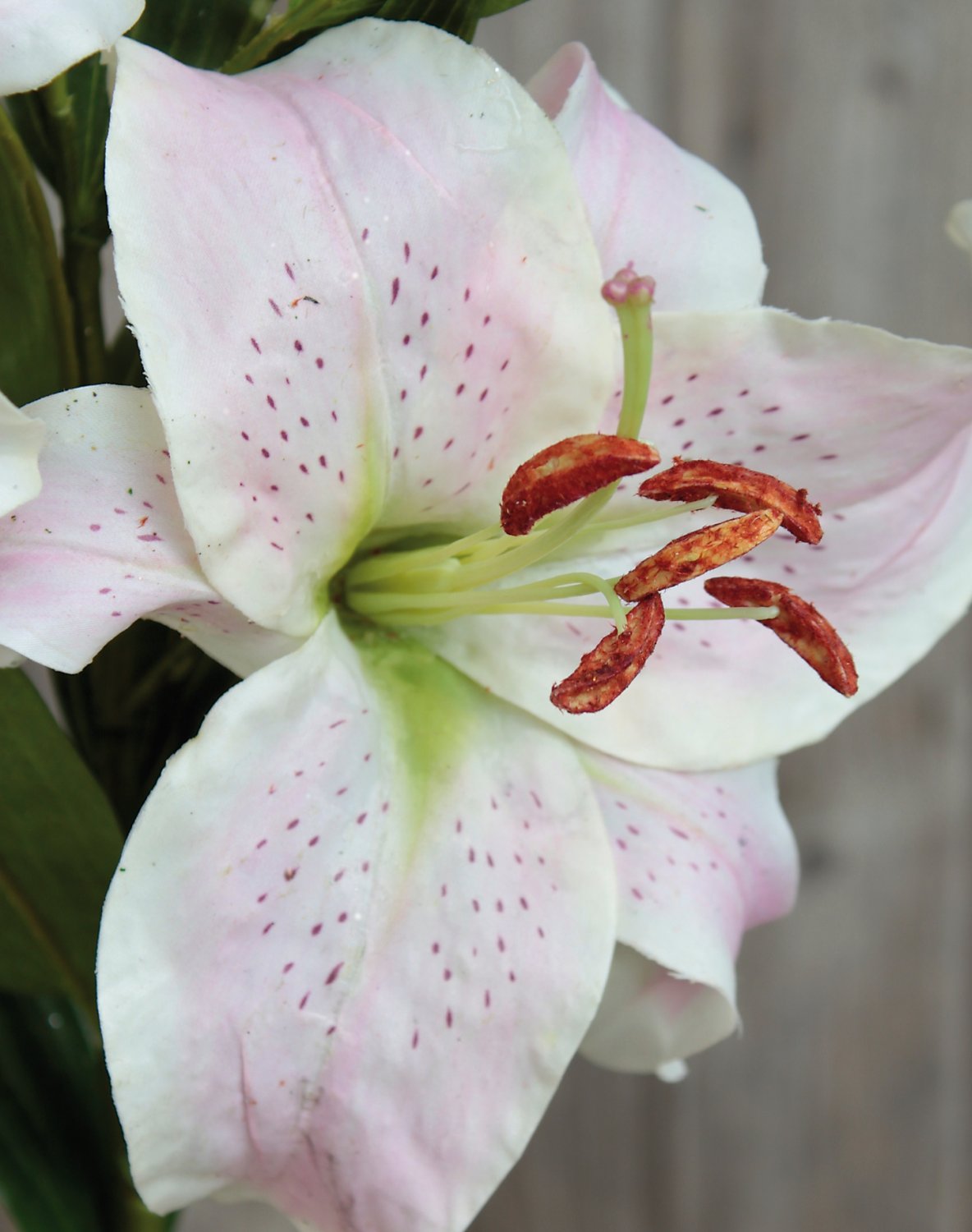 Artificial stargazer lily, 2-fold, 95 cm, real touch, light pink