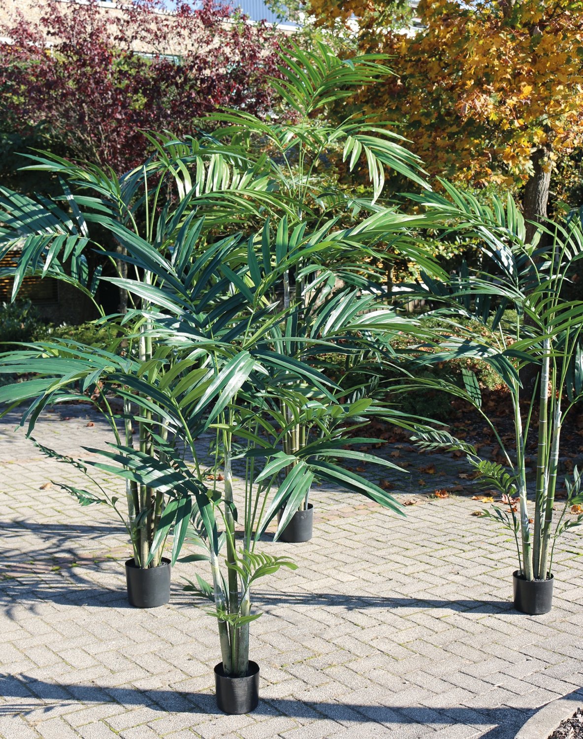 Künstliche Kentia-Palme, getopft, 270 cm, grün