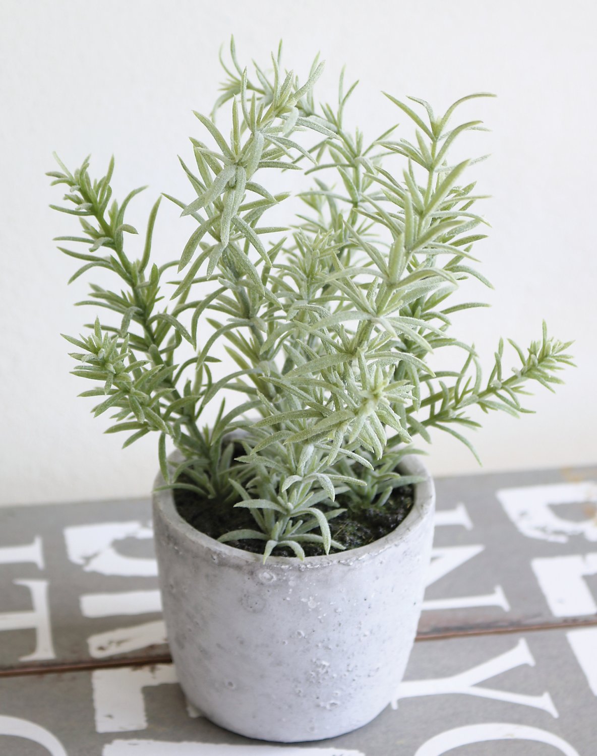 Faux rosemary, potted, 19 cm, green