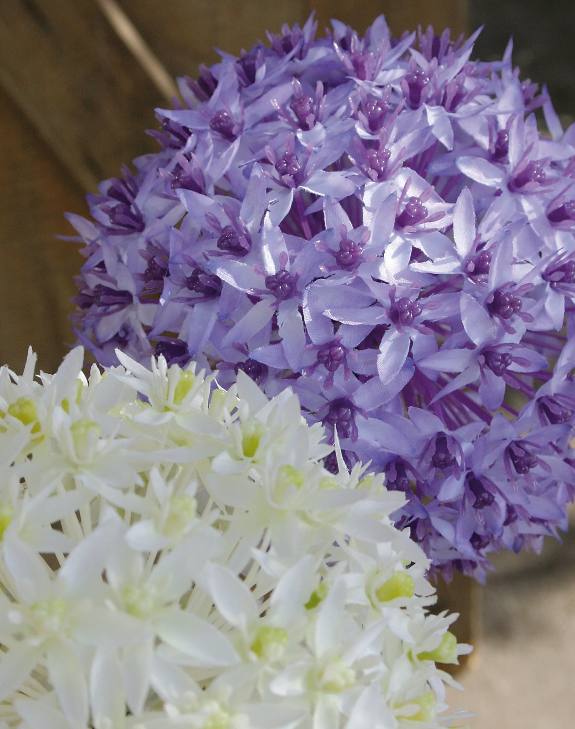 Allium artificiale, 80 cm, viola chiaro-viola scuro