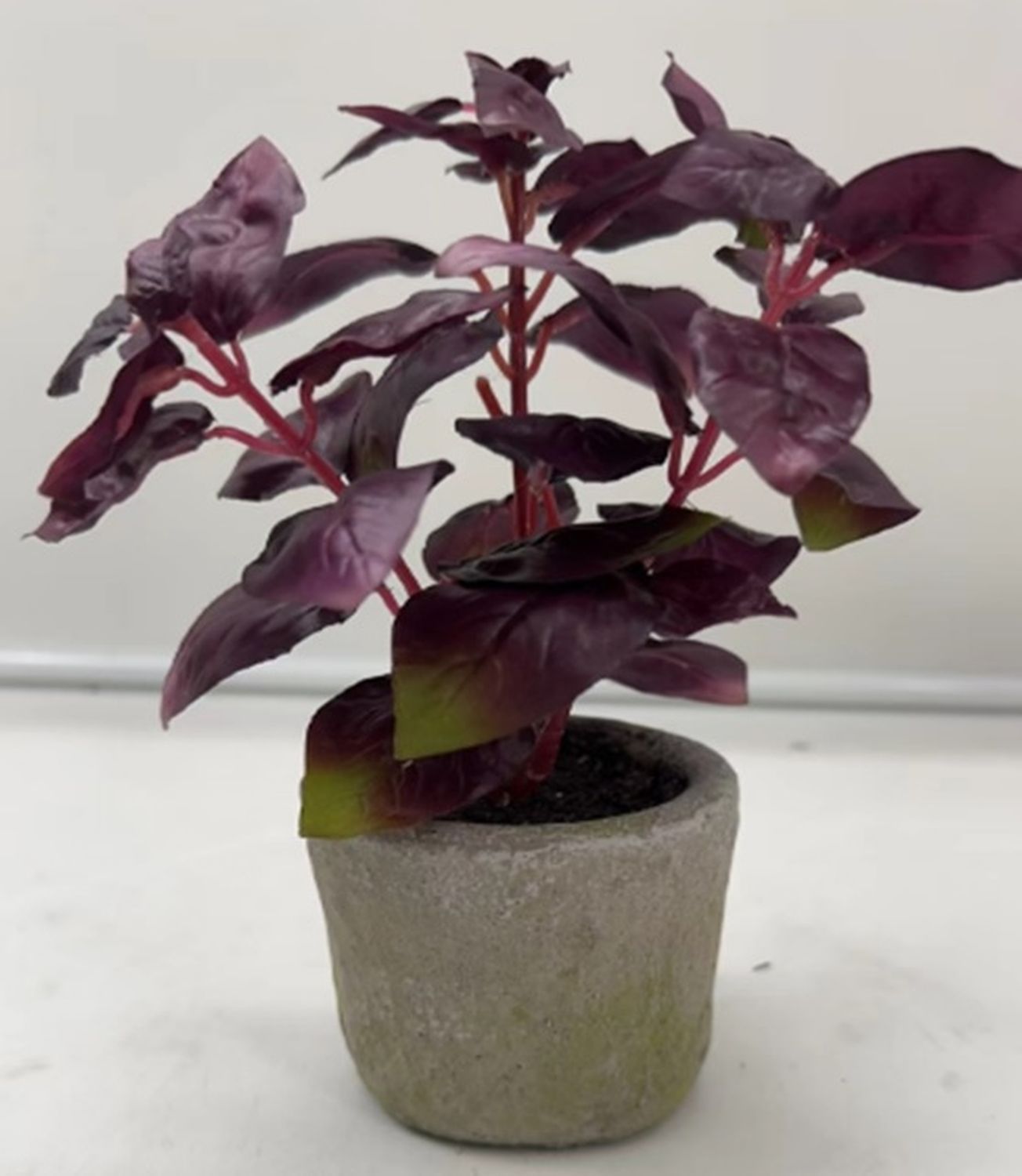 Kunstkräuter Basilikum, getopft, 26 cm, burgunderrot Kunstkräuter Basilikum, getopft, 26 cm, burgunderrot