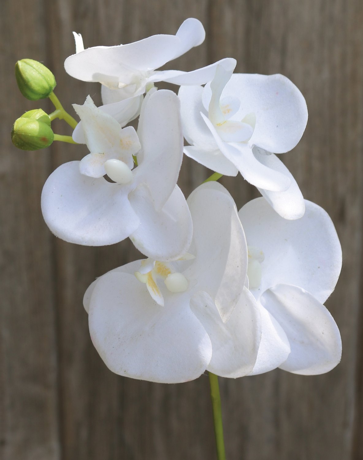 Faux orchid Phalaenopsis, 37 cm, real touch soft, white