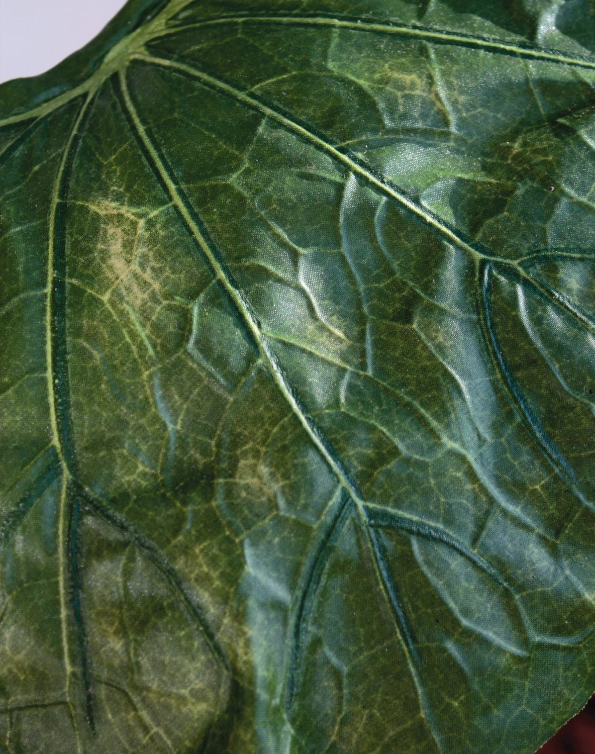 Künstliches Lotosblatt, 90 cm, Ø 30 cm, grün