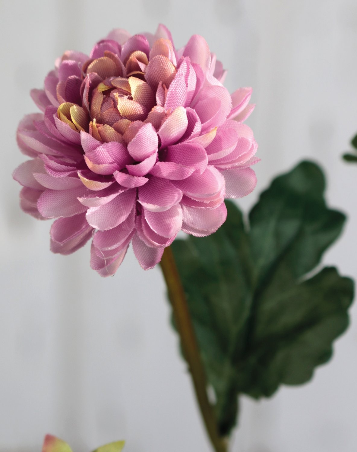 Faux Chrysanthemum, 5-flowers, 68 cm, antique-light pink