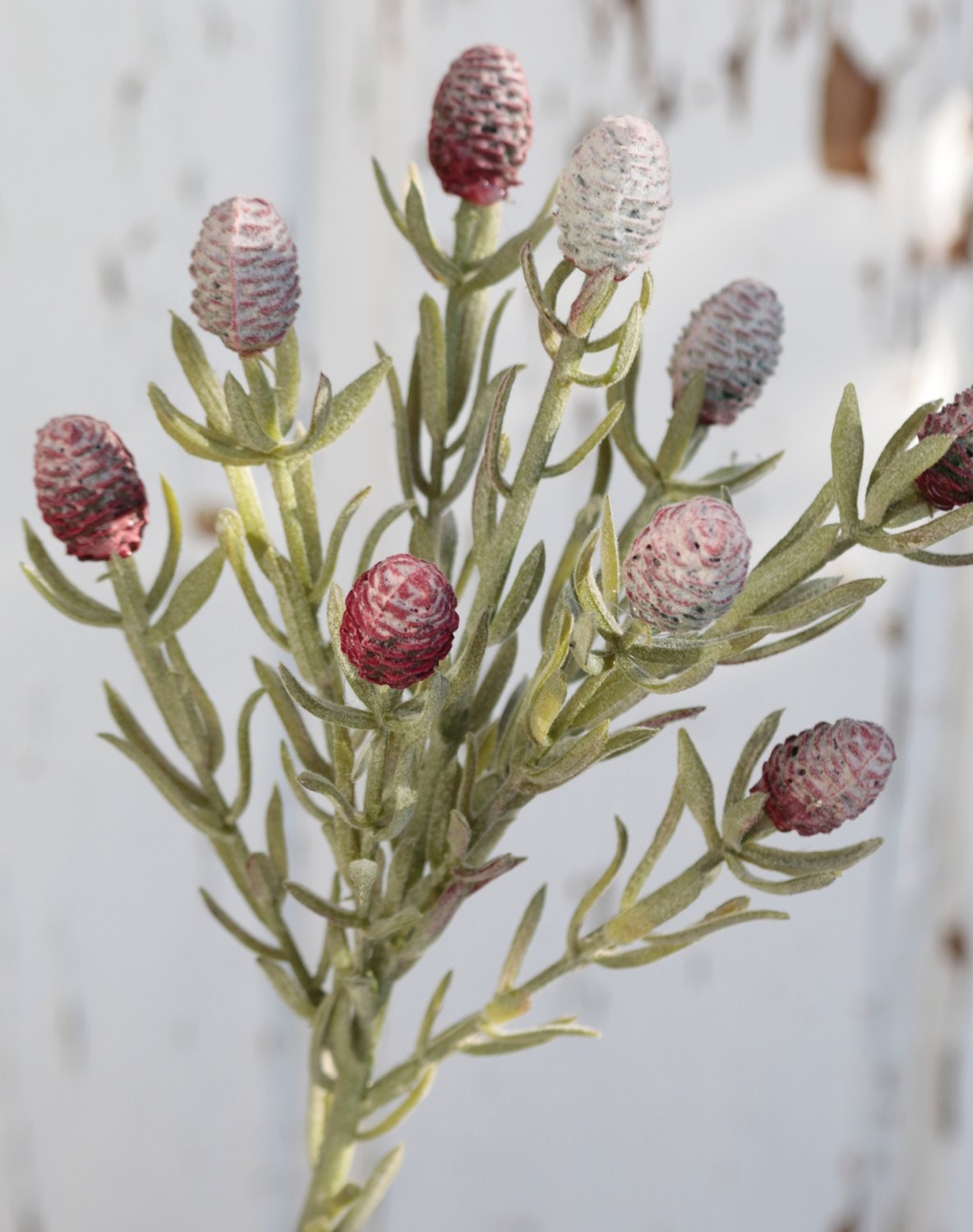 Artificial thistle, 45 cm, red-white