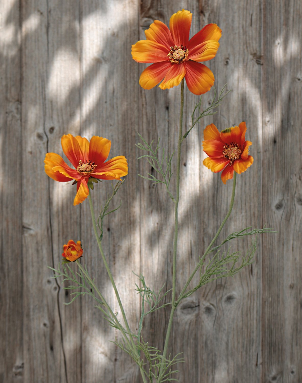 Künstliche Cosmea, 95 cm, orange