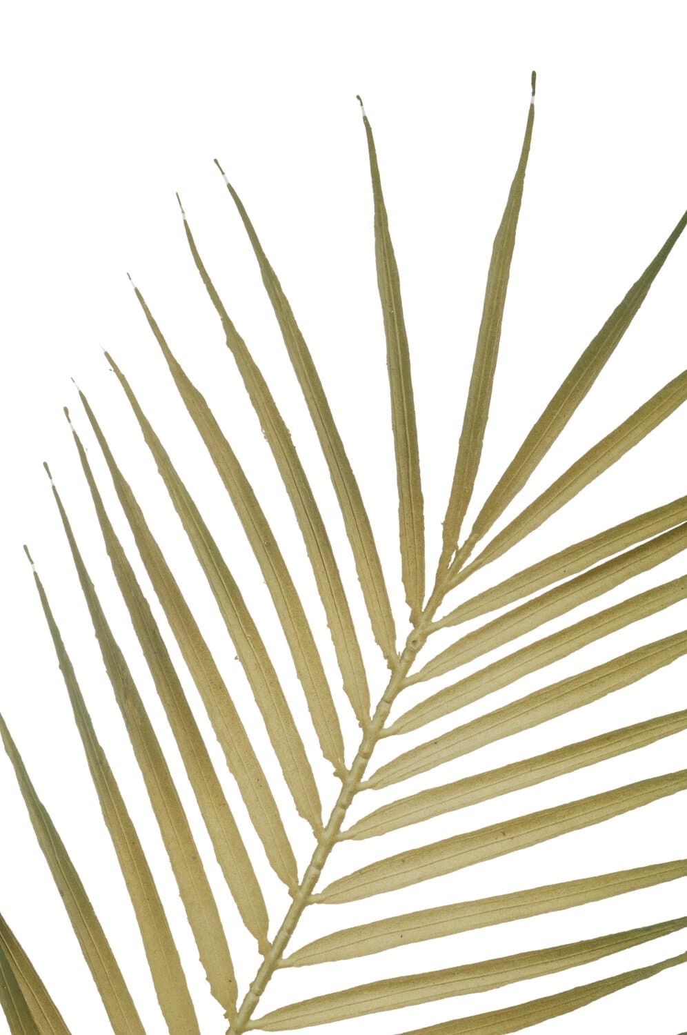 Künstliches Palmblatt, 81 cm