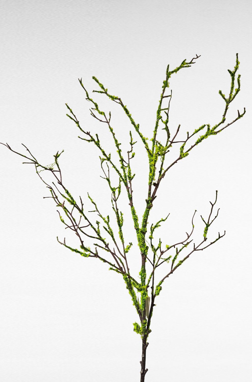 Ramo decorativo finto con muschio, 122 cm, marrone-verde