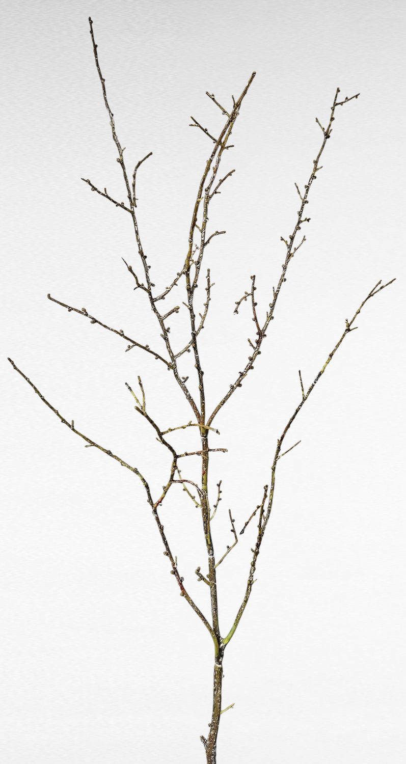 Ramo decorativo finto, 86 cm, marrone-bianco