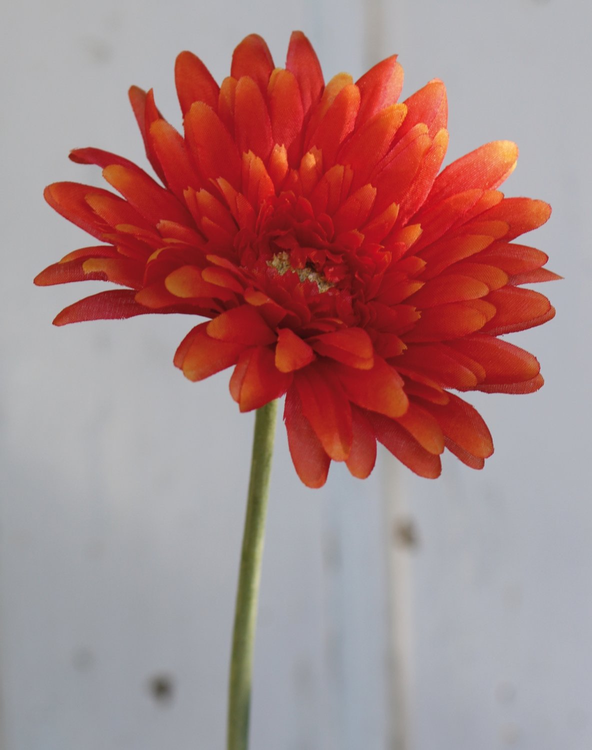 Gerbera artificiale, 55 cm, arancione scuro