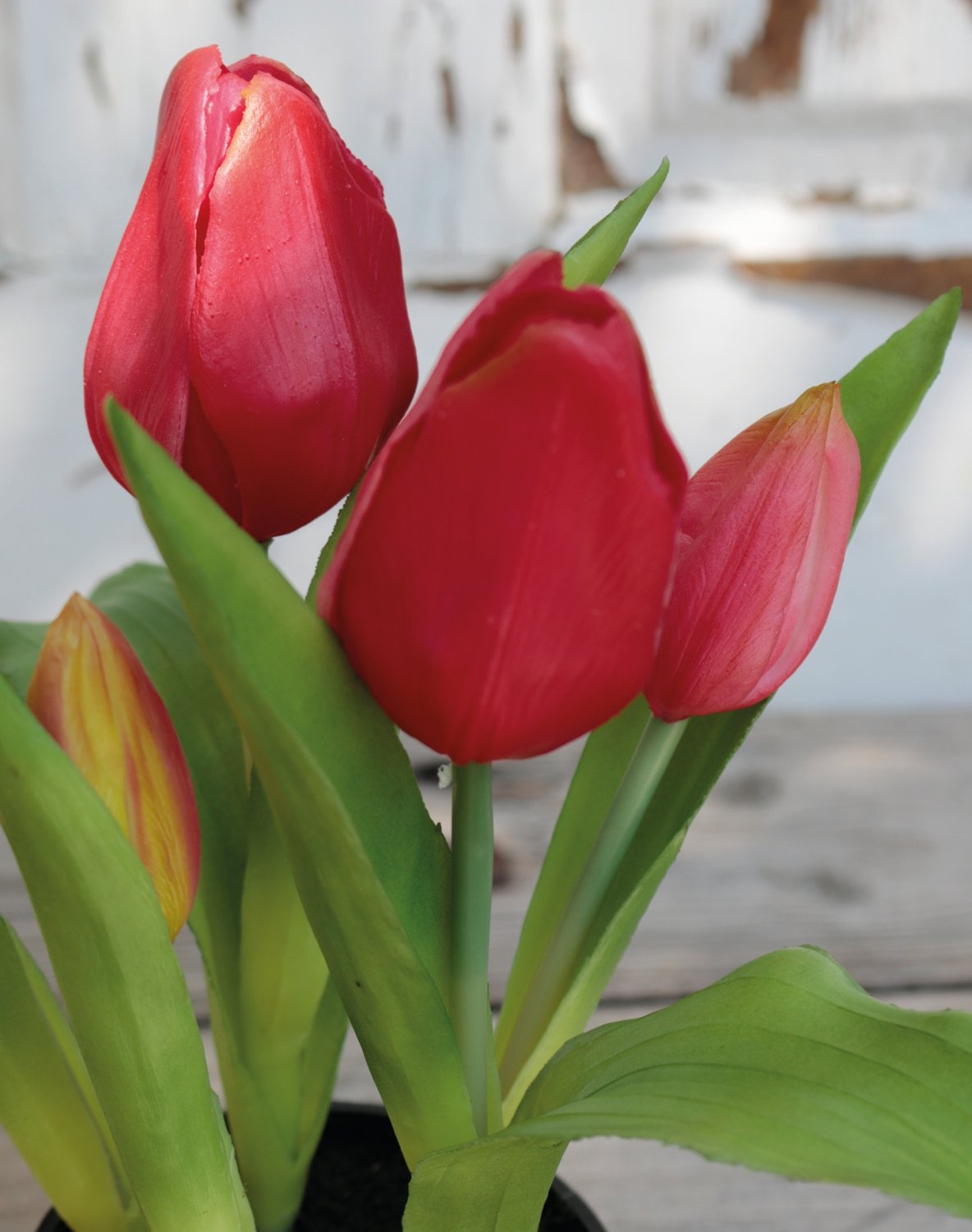 Künstliche Tulpen, getopft, 5-fach, 25 cm, Real Touch, pink