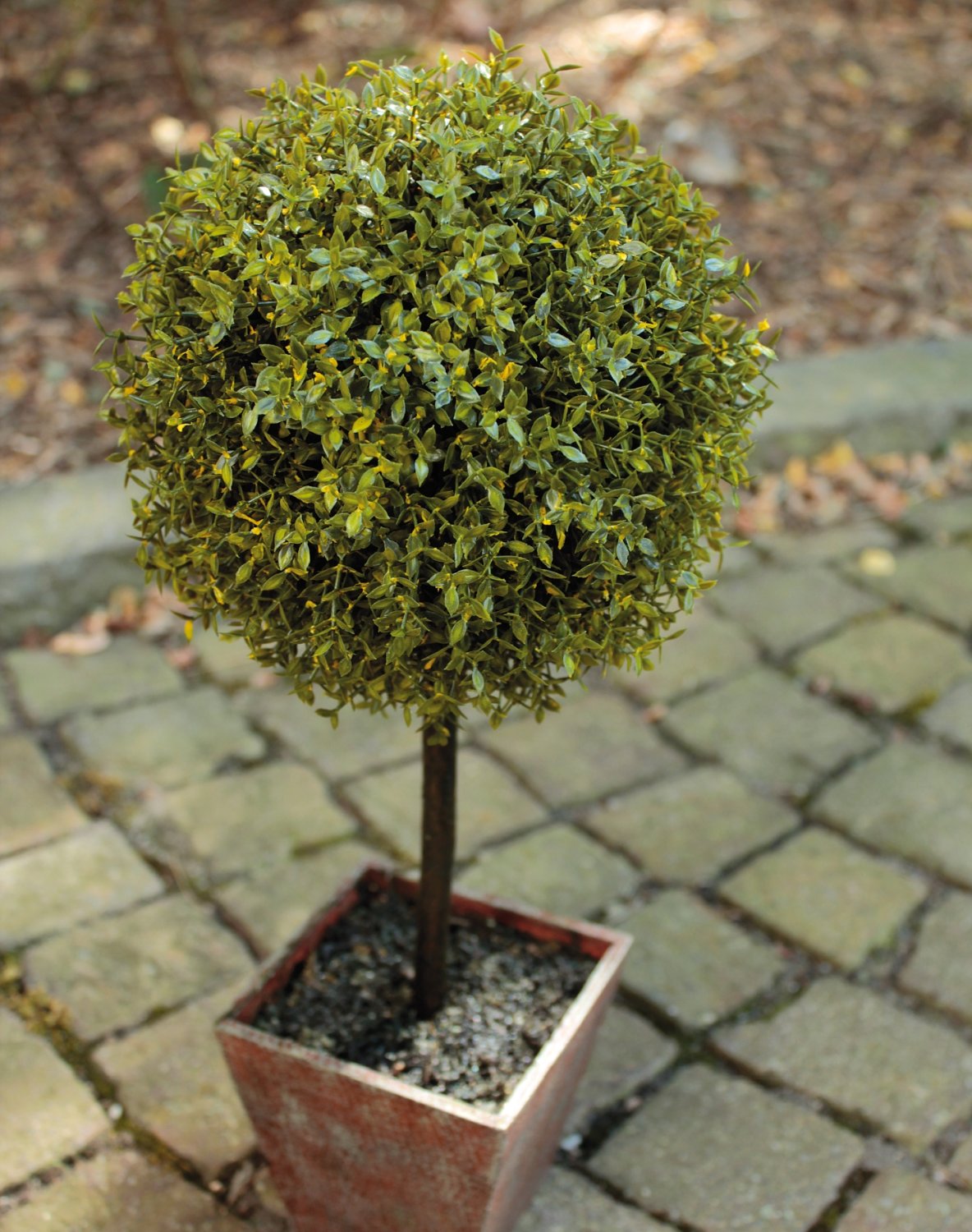 Künstlicher Buchs Kugelbaum, getopft, 55 cm, grün