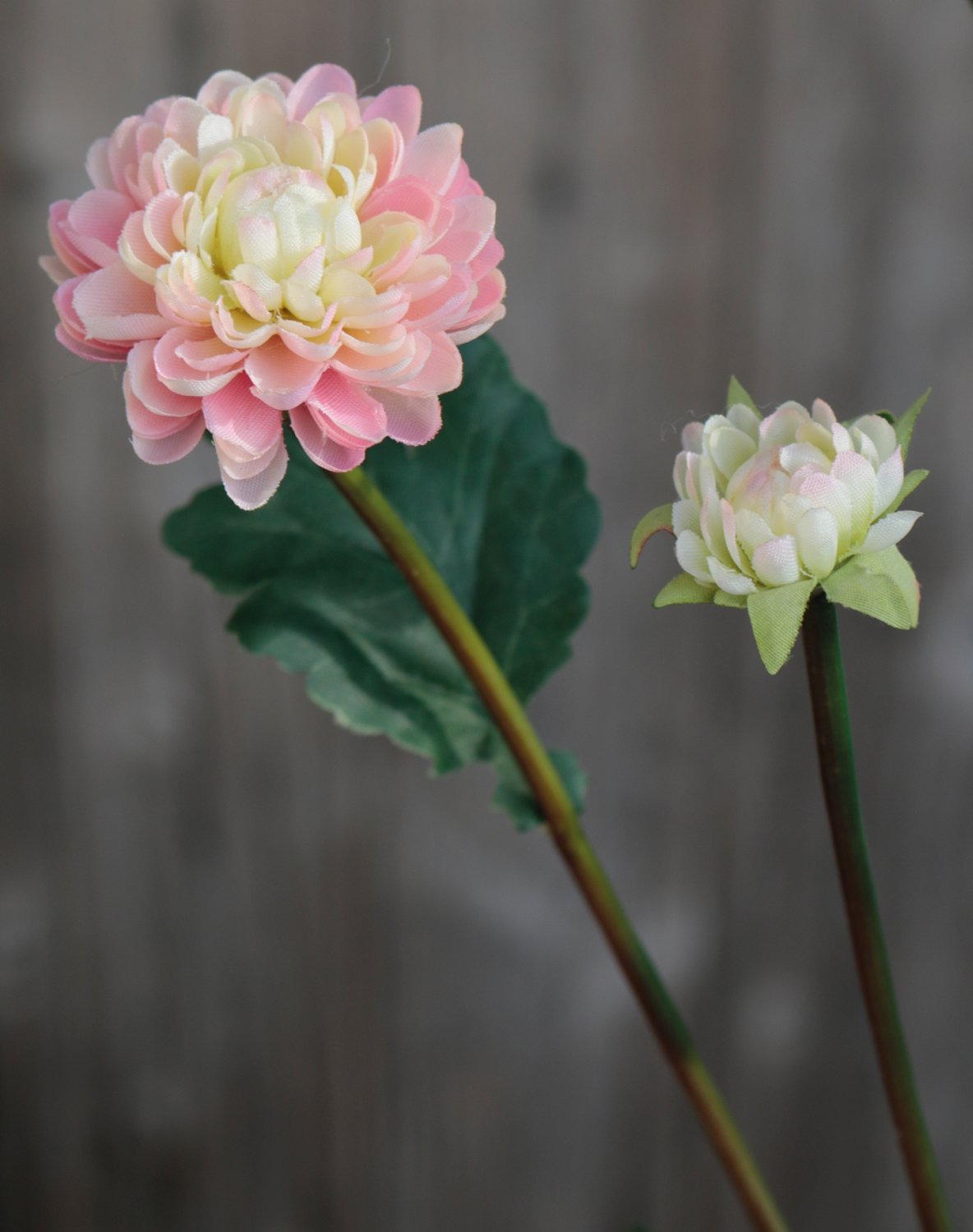 Crisantemo artificiale, 5 fiori, 68 cm, rosa-verde