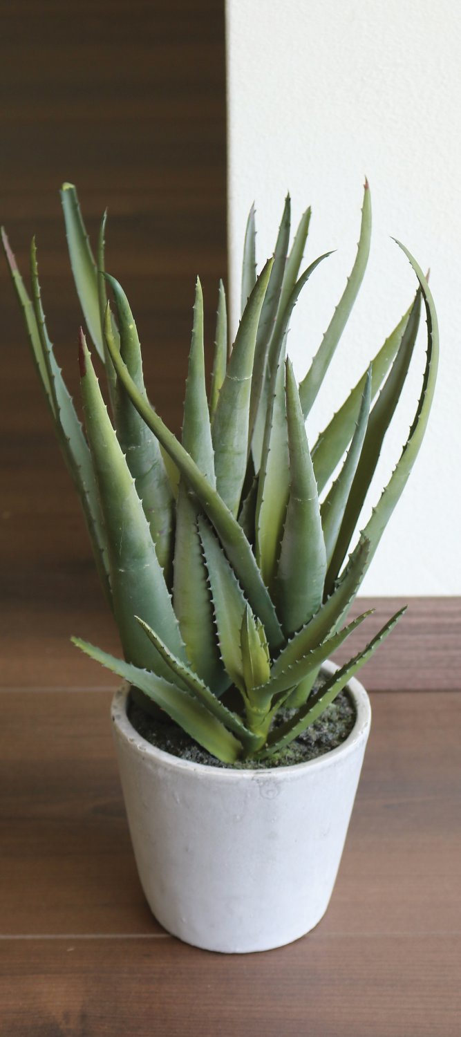 Künstliche Aloe, getopft, 40 cm, grün