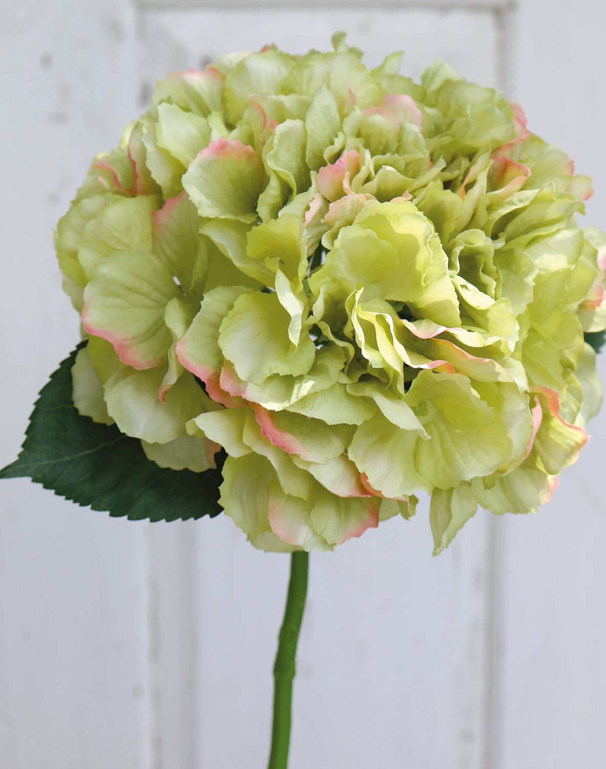 Silk hydrangea, 40 cm, beige-green