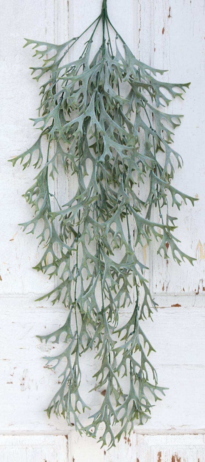 Fake staghorn fern hanger, 80 cm, green-grey