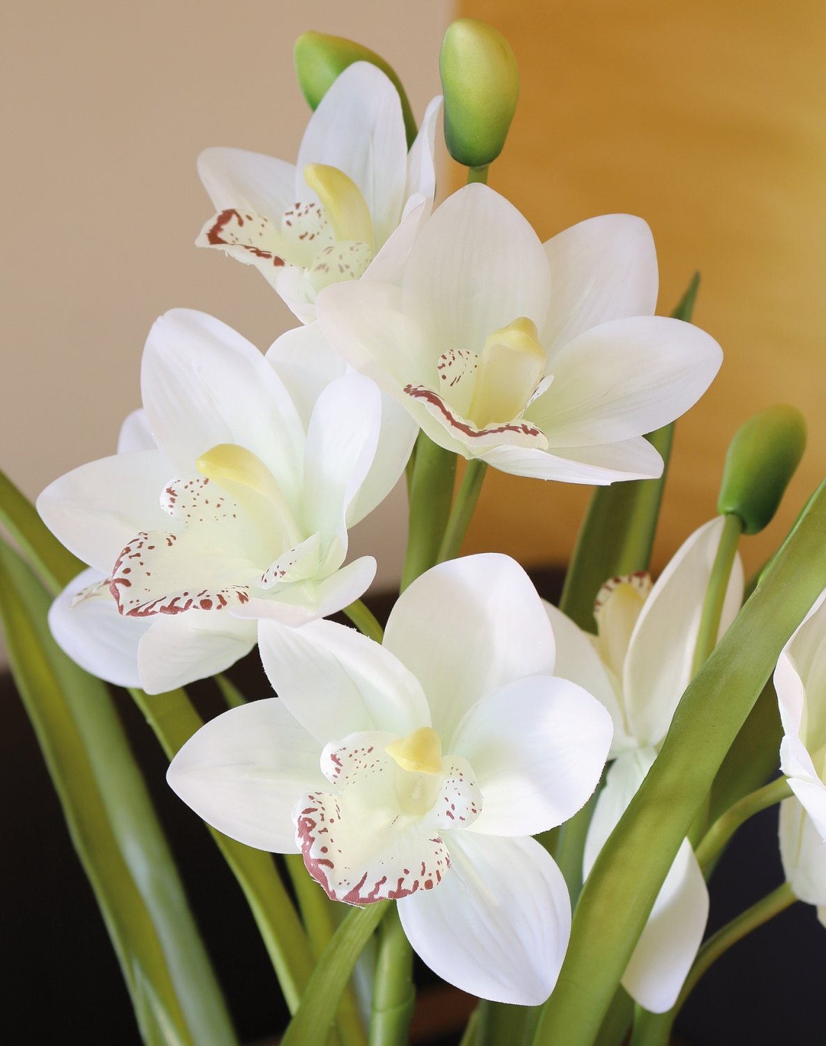 Orchidea Cymbidium artificiale, in vaso, 55 cm, Real Touch Soft, bianco-crema