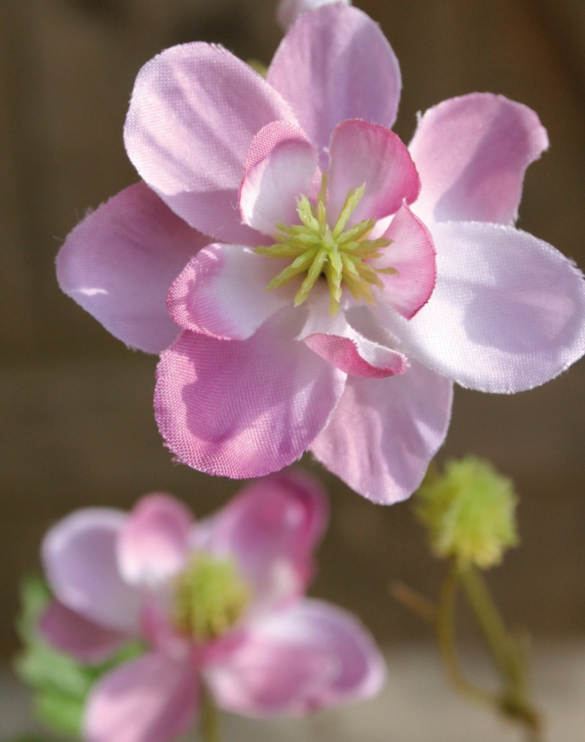 Granny's bonnet silk flower, 99 cm, pink-green
