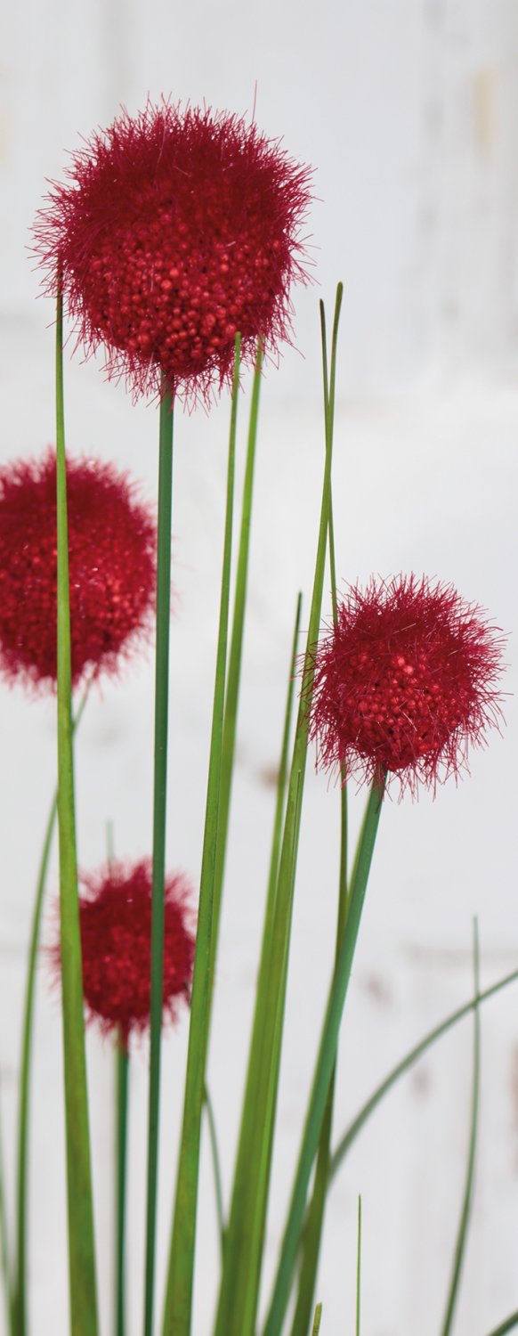 Künstliche Kugelgras, 75 cm, rot