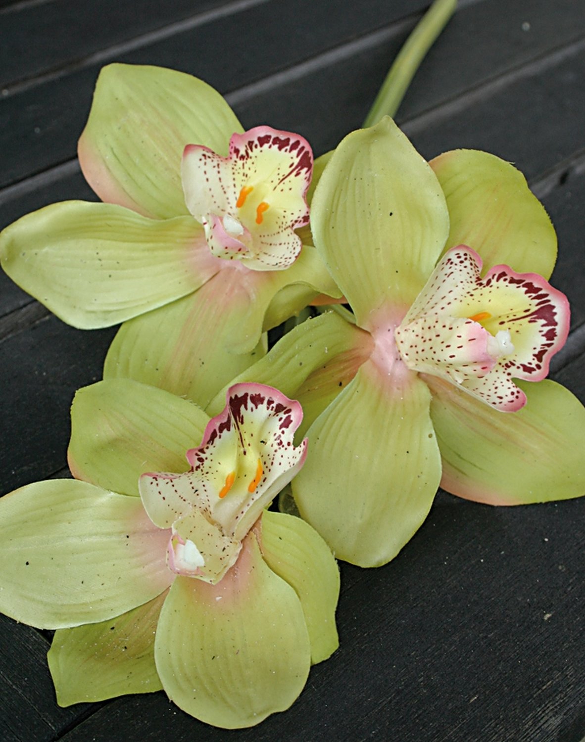 Faux orchid cymbidium, 46 cm, real touch, green