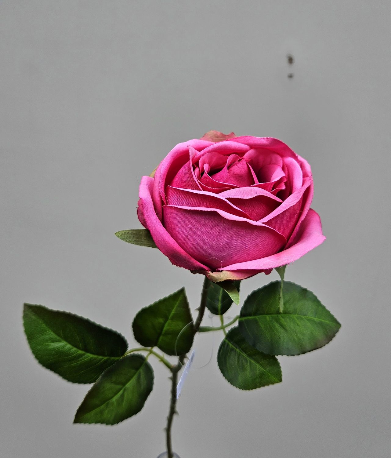 Englische Kunstrose, 66 cm, pink Englische Kunstrose, 66 cm, pink