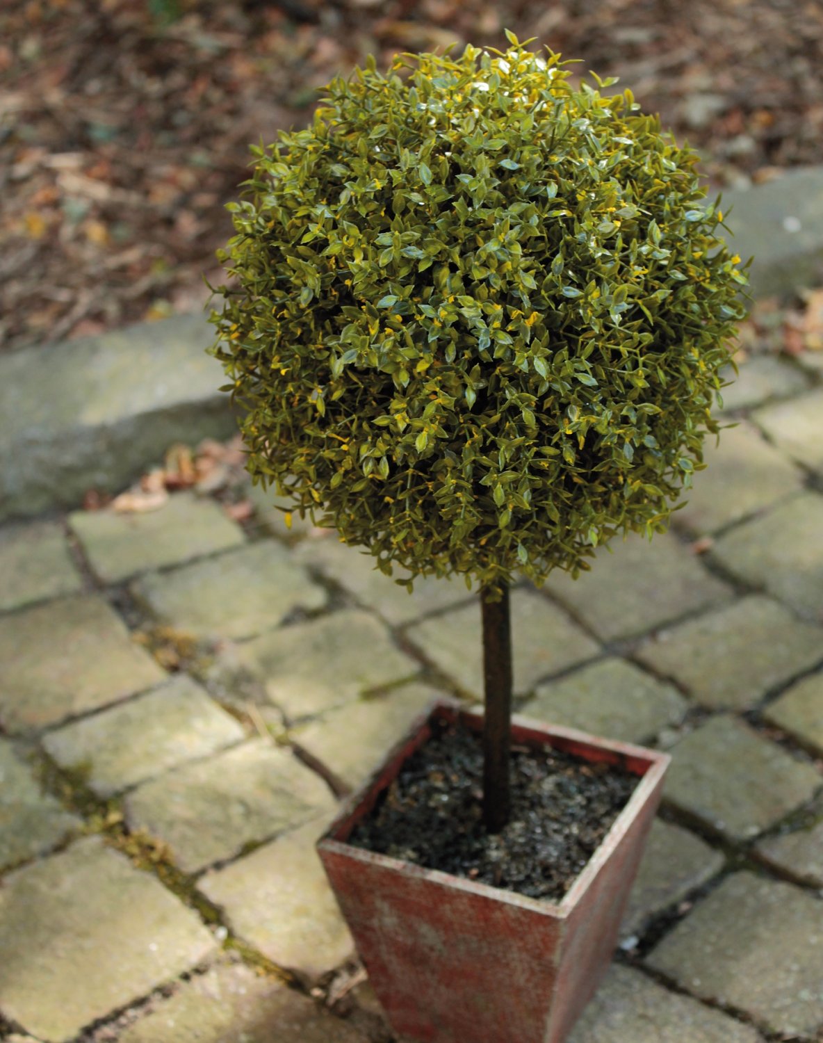 Künstlicher Buchs Kugelbaum, getopft, 55 cm, grün