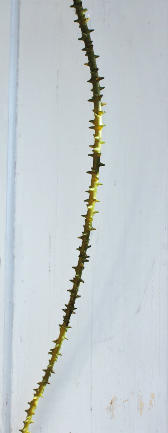 Künstliche Dornengirlande, 170 cm, grün-braun Künstliche Dornengirlande, 170 cm, grün-braun