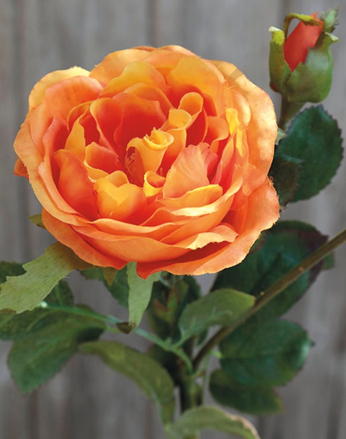 False rose, 1 flower, 2 buds, 30 cm, orange