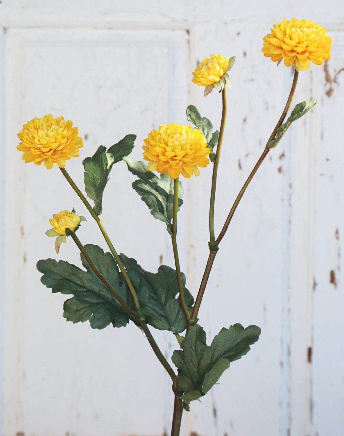 Crisantemo de plástico, 5 flores, 68 cm, amarillo Crisantemo de plástico, 5 flores, 68 cm, amarillo