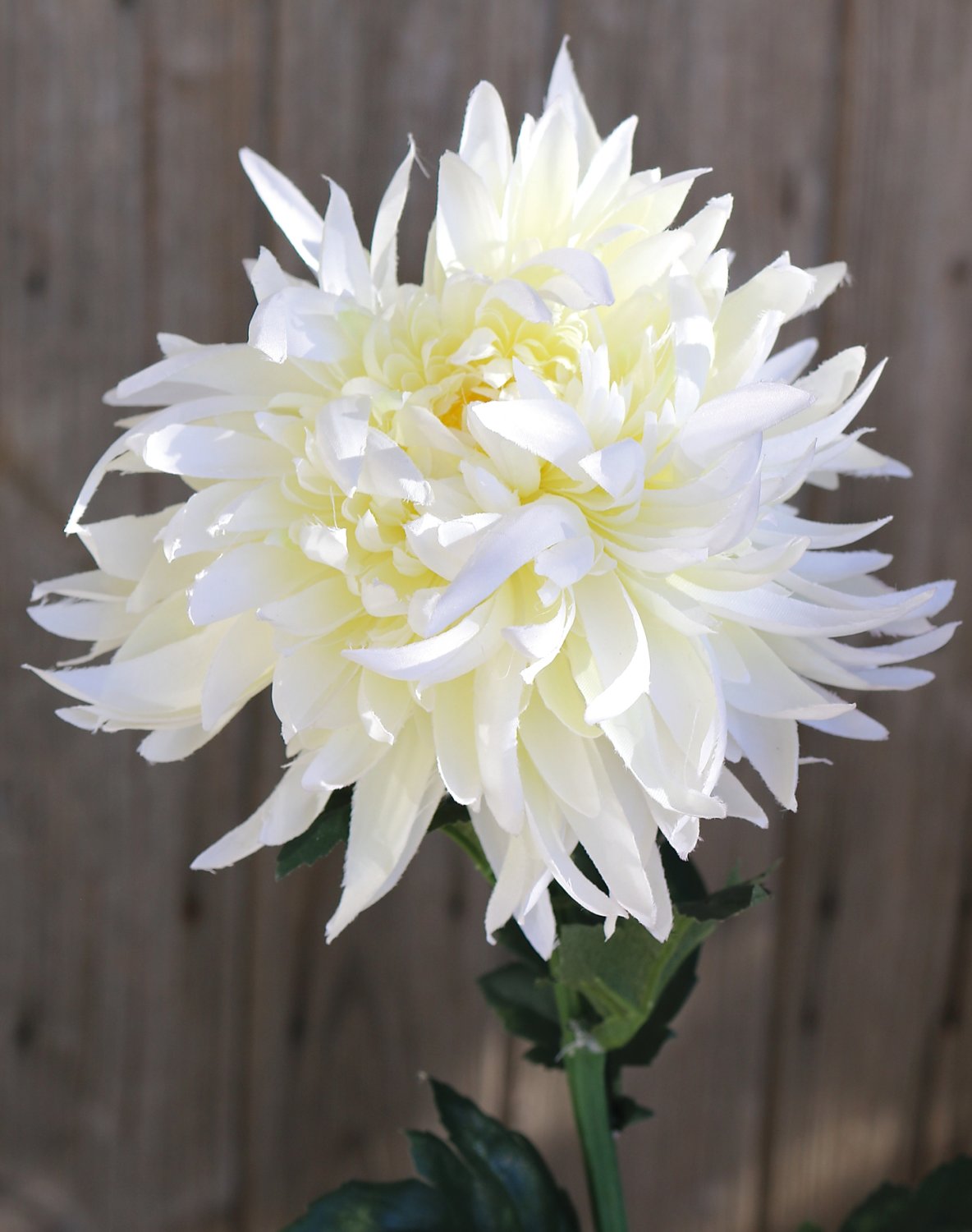 Künstliche Chrysantheme, 62 cm, creme-weiß