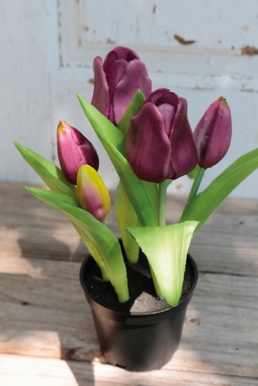 Künstliche Tulpen, getopft, 5-fach, 25 cm, Real Touch, violett-grün