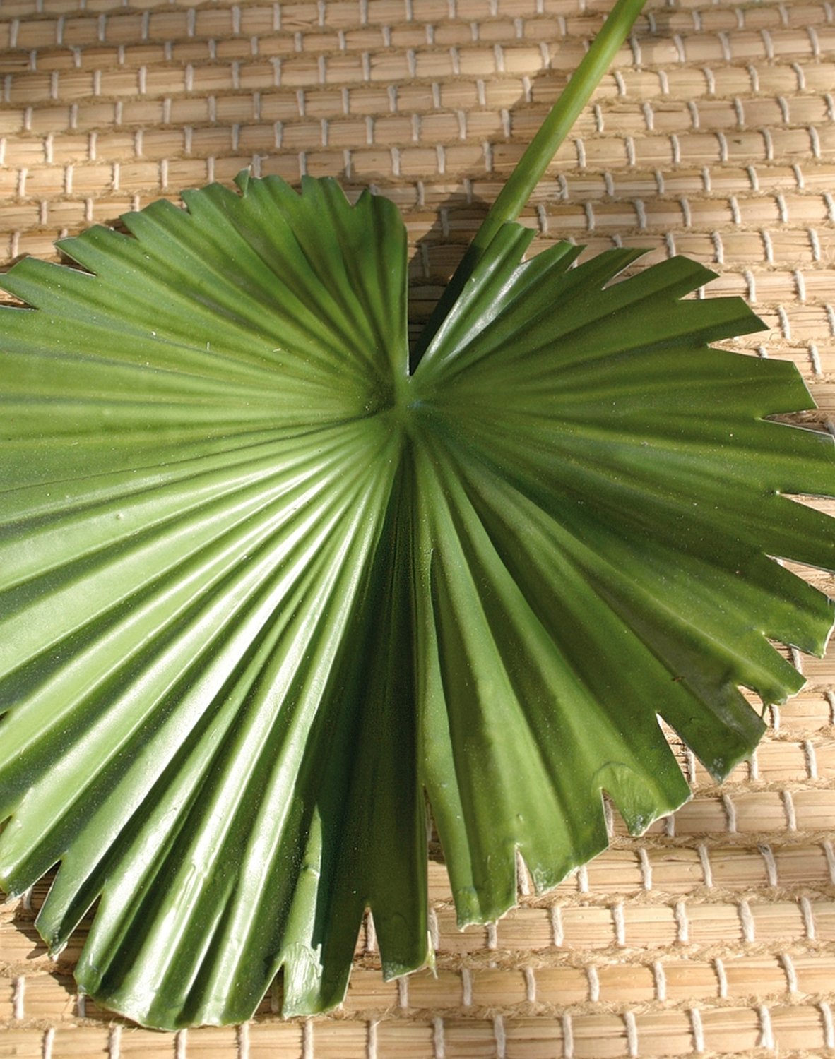 Künstliche Fächerpalmenblatt, 62 cm (Blatt 20 cm), grün