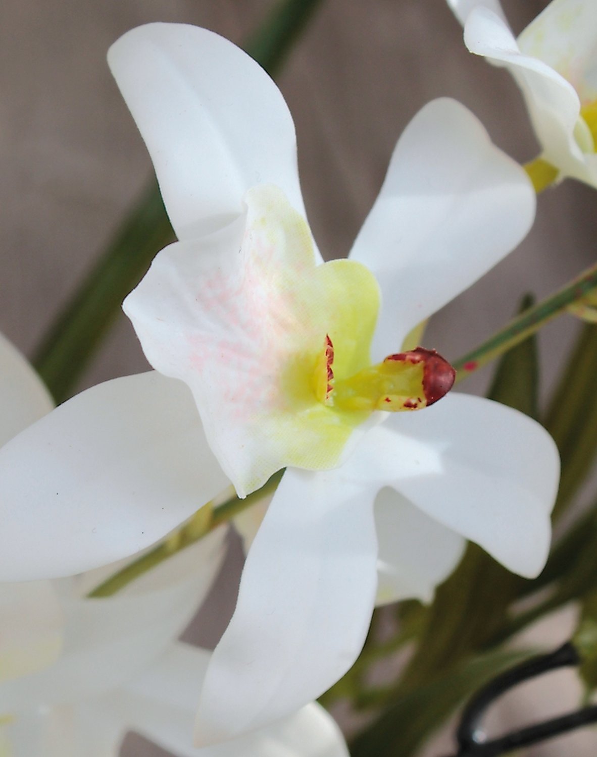Künstliche Orchidee Dendrobium & Bambus in 'Erde', 57 cm, Real Touch Soft, weiß-grün