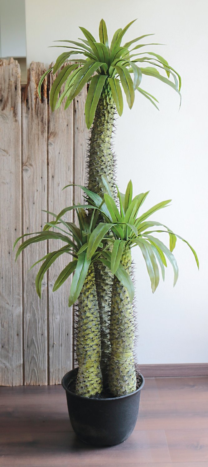 Artificial Madagascar palm tree, potted, 3 stems, 170 cm, green