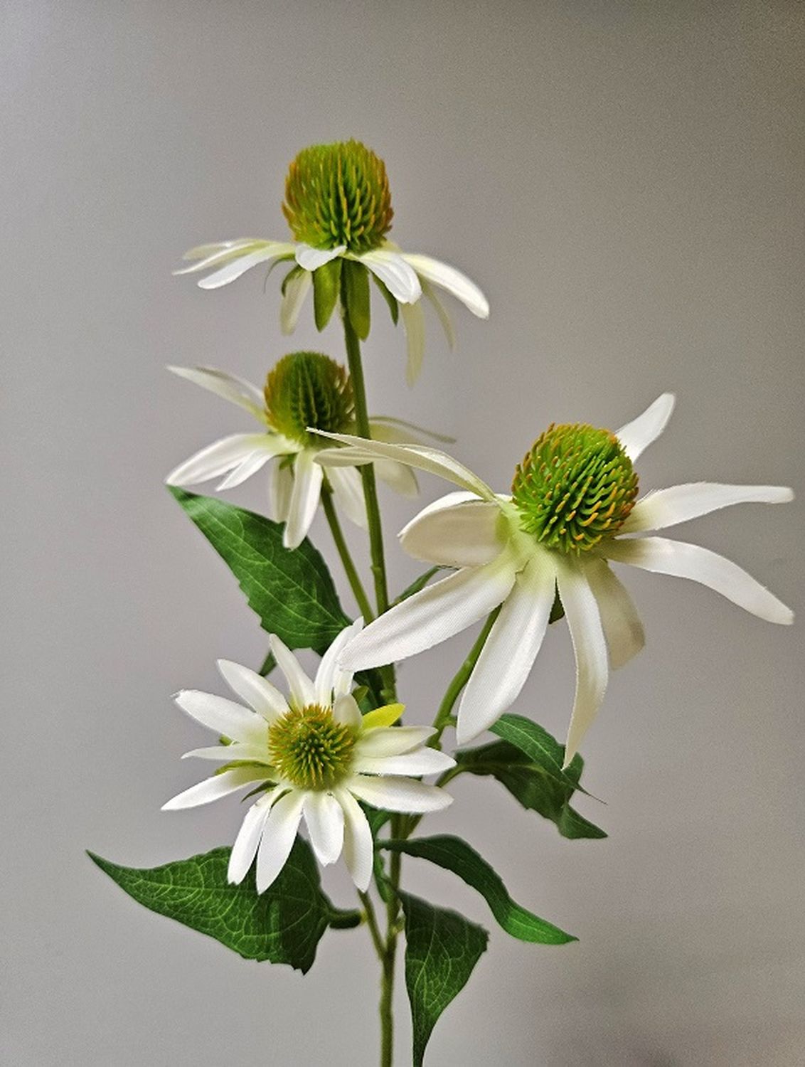 Artificial black eyed susan, 71 cm, cream-white