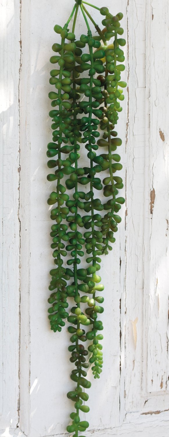 Artificial succulent, hanging, 60 cm, green