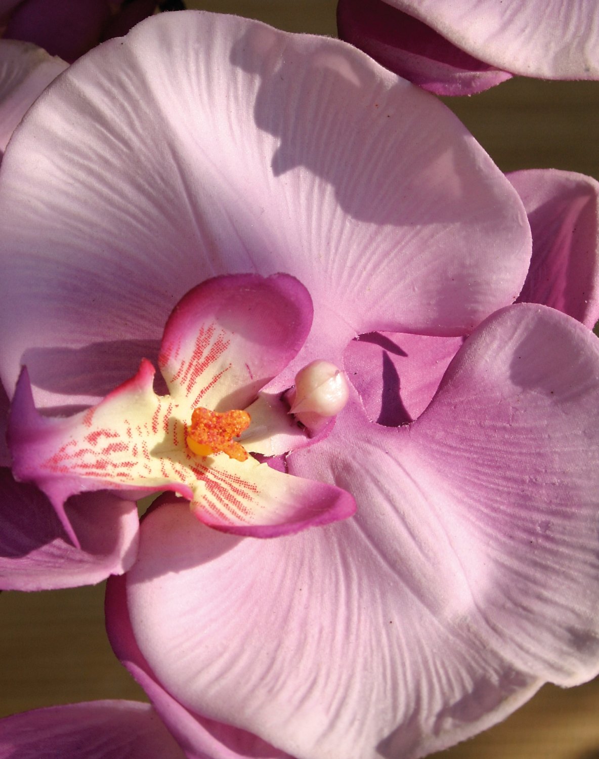 Künstliche Orchidee Phalaenopsis, 103 cm, Real Touch, hellviolett-dunkelviolett