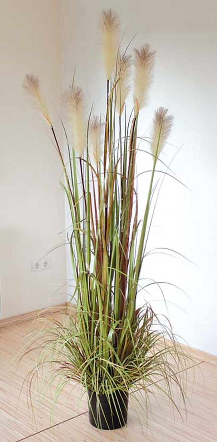 Artificial pampas grass, potted, 180 cm, green-brown Artificial pampas grass, potted, 180 cm, green-brown