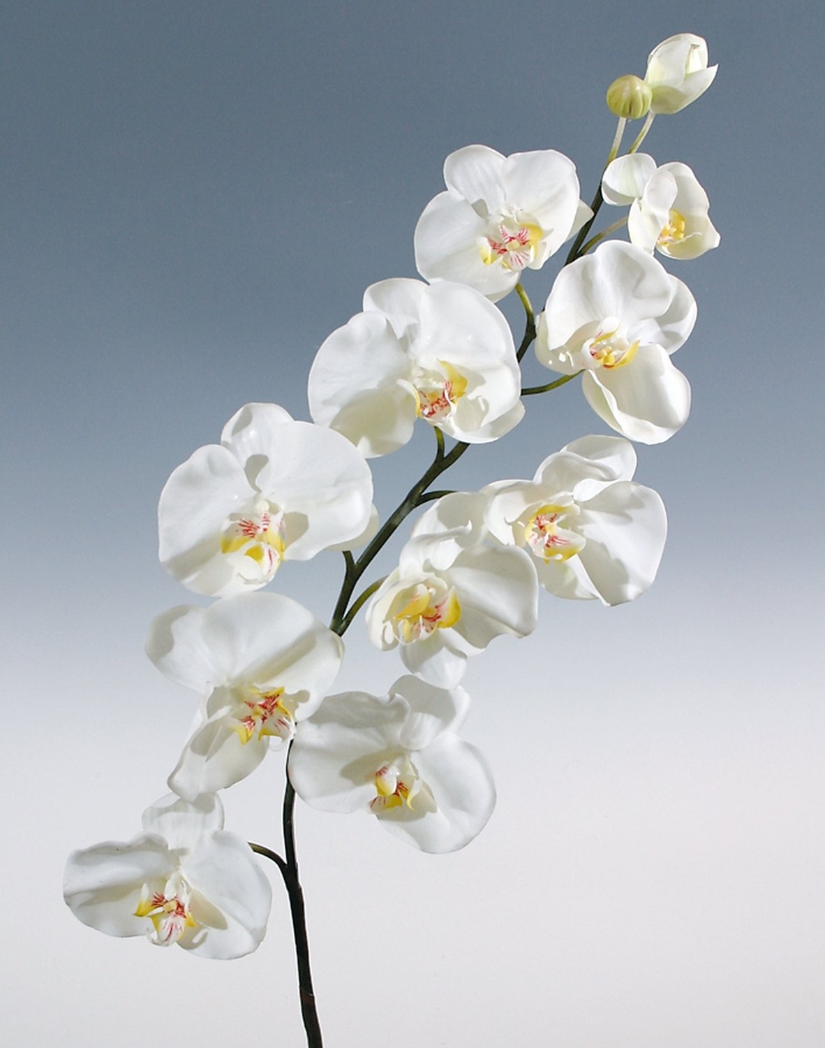 Künstliche Orchidee Phalaenopsis, 110 cm, Real Touch, weiß