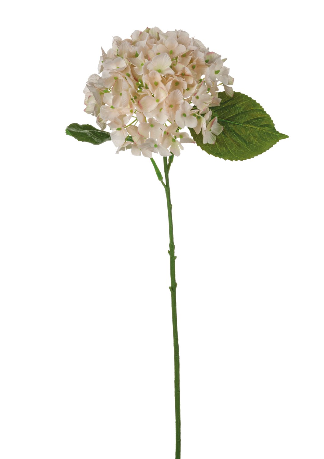 Unechte Hortensien Blume, 56 cm, antik-hellrosa