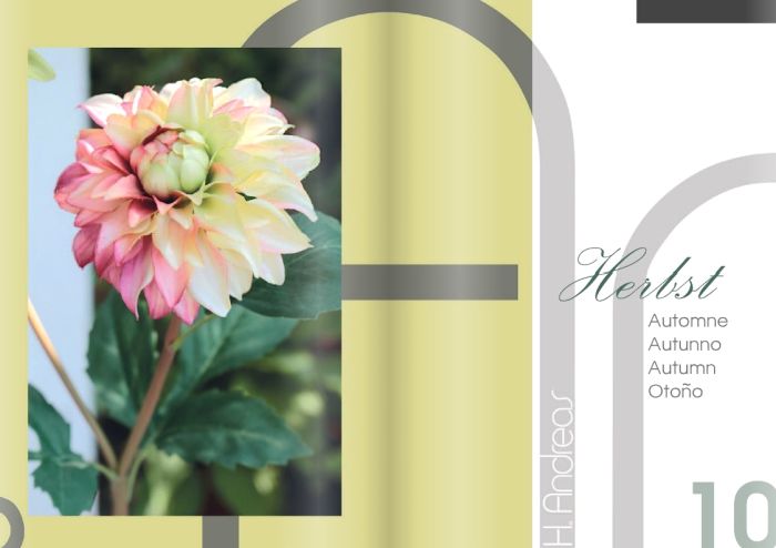 H.Andreas Kunstblumen Katalog 2020 - Herbst Kunstpflanzen Katalog 2020 - Herbst von H.Andreas