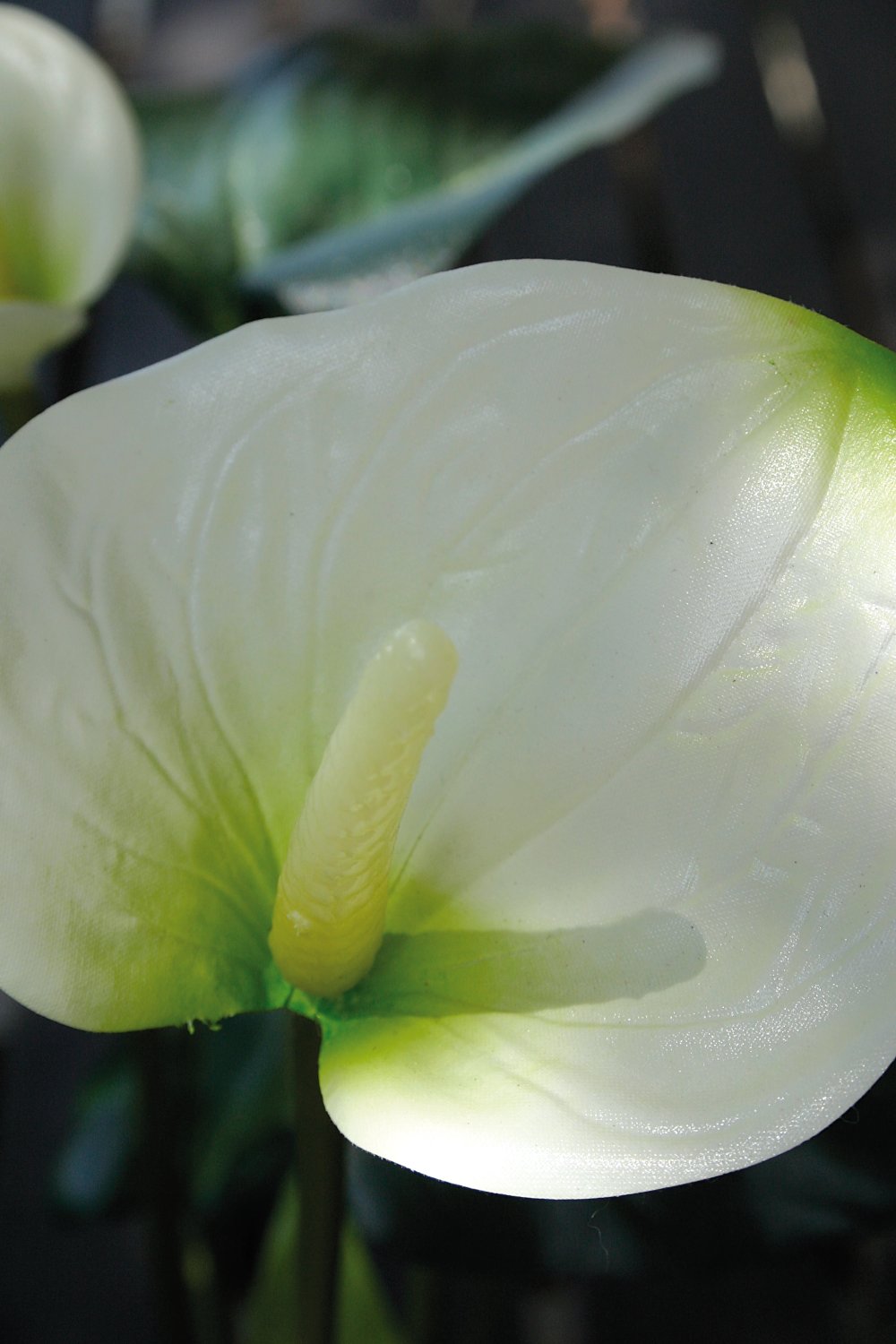 Künstliche Anthurium, getopft, 39 cm, weiß