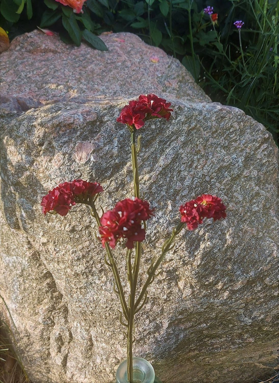 Künstliche Statice Blume "Vintage", 64 cm, burgunderrot