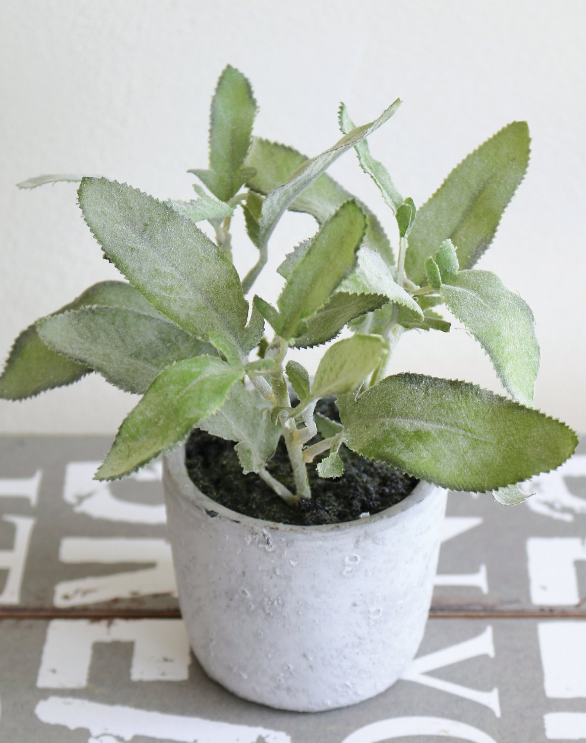 Salvia artificiale, in vaso, 17 cm, verde