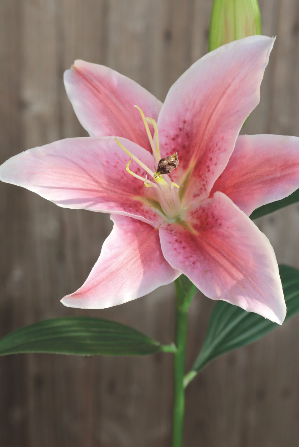 Künstliche Lilie, 45 cm, Real Touch, pink