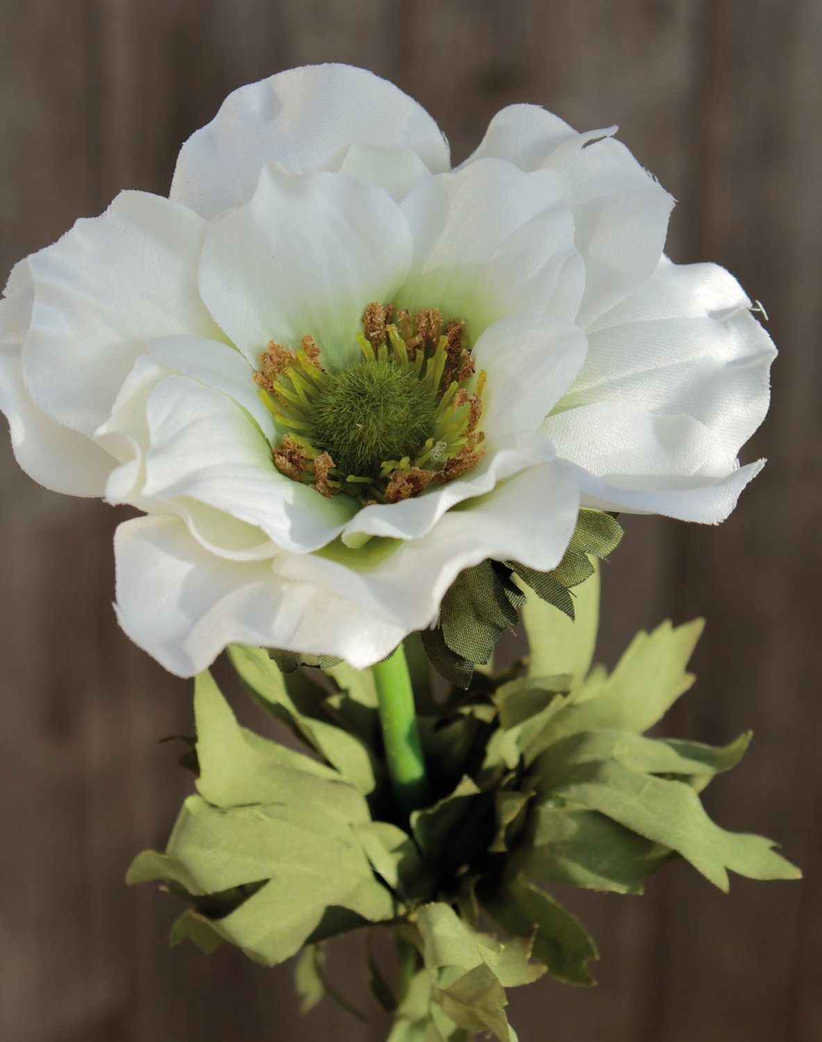 Künstliche Anemone, 35 cm, creme-weiß