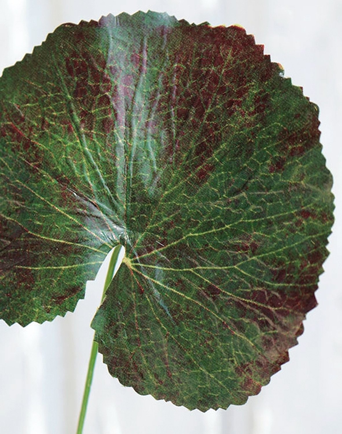 Plastic geranium leaf, 40 cm, green-red